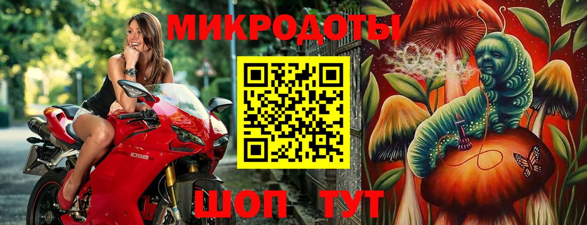 Галлюциногенные грибы прущие грибы Кизилюрт
