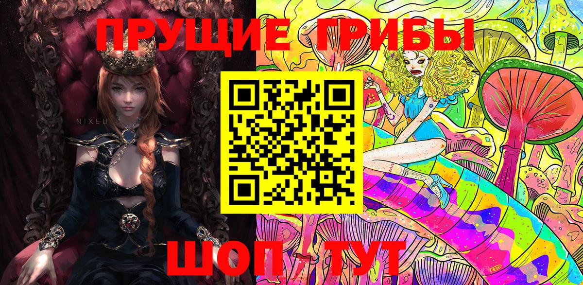 Кизилюрт  Псилоцибиновые грибы GOLDEN TEACHER  Вход с VPN 
